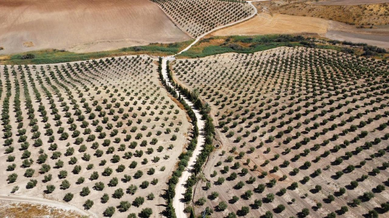 Cortijo Donana Villa La Puebla de Cazalla Kültér fotó