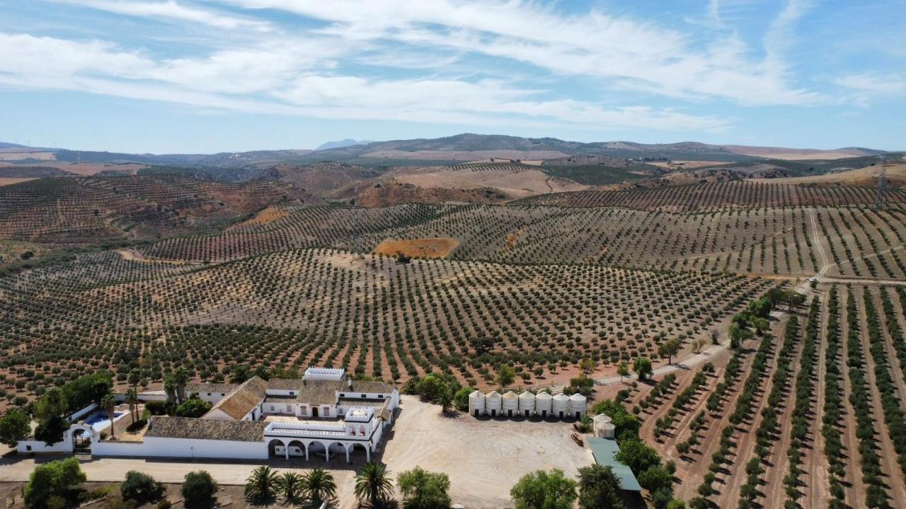 Cortijo Donana Villa La Puebla de Cazalla Kültér fotó