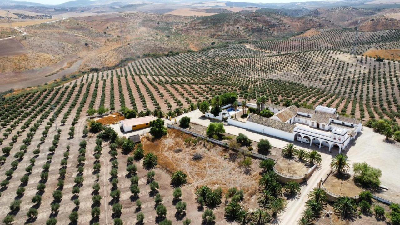 Cortijo Donana Villa La Puebla de Cazalla Kültér fotó