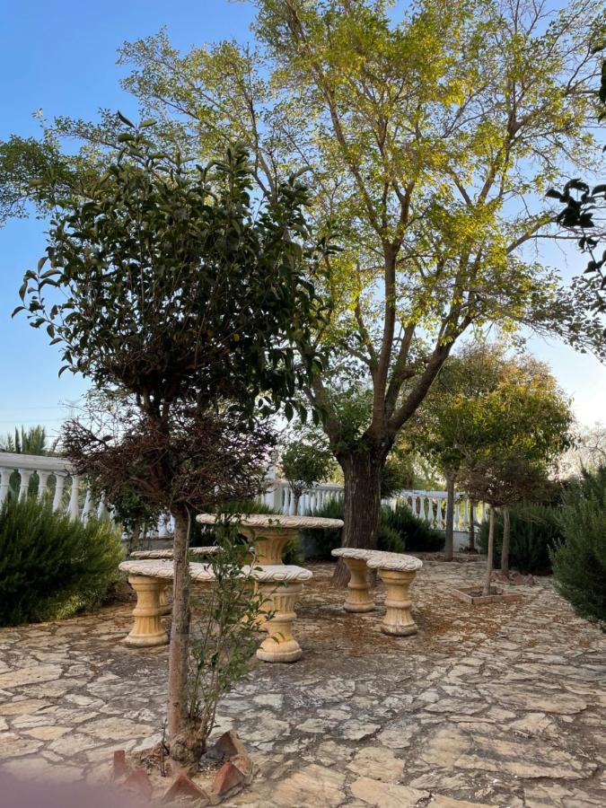 Cortijo Donana Villa La Puebla de Cazalla Kültér fotó